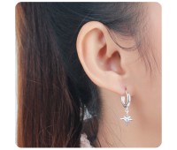 Elegant Designed with CZ Stone Silver Hoop Earring HO-2522